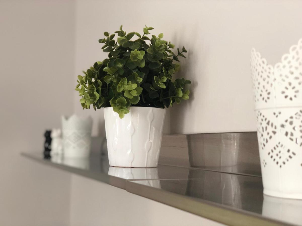 Arche De Noe Apartment Колмар Екстериор снимка